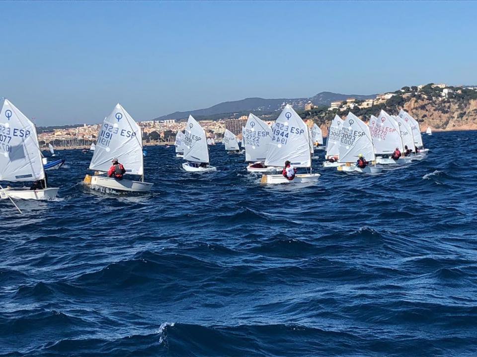 optimist 02