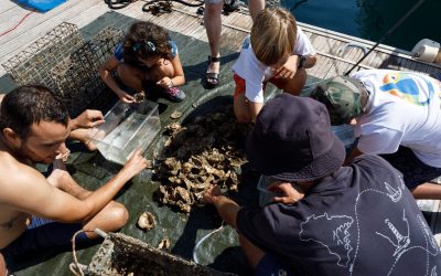 Plaisir et apprentissage à la Journée de sensibilisation à l’environnement